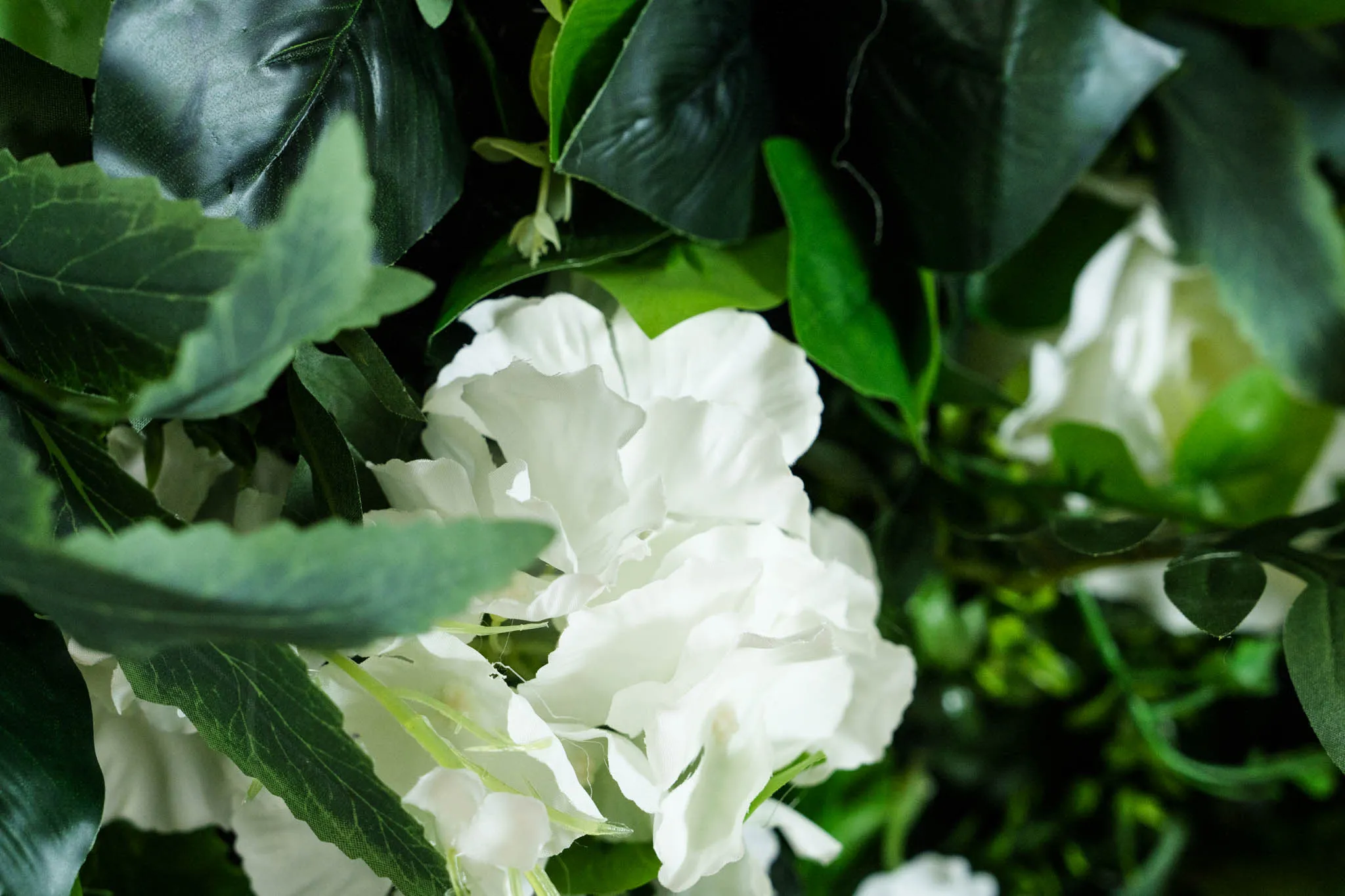Evergreen Elegance flower wall, photo 3