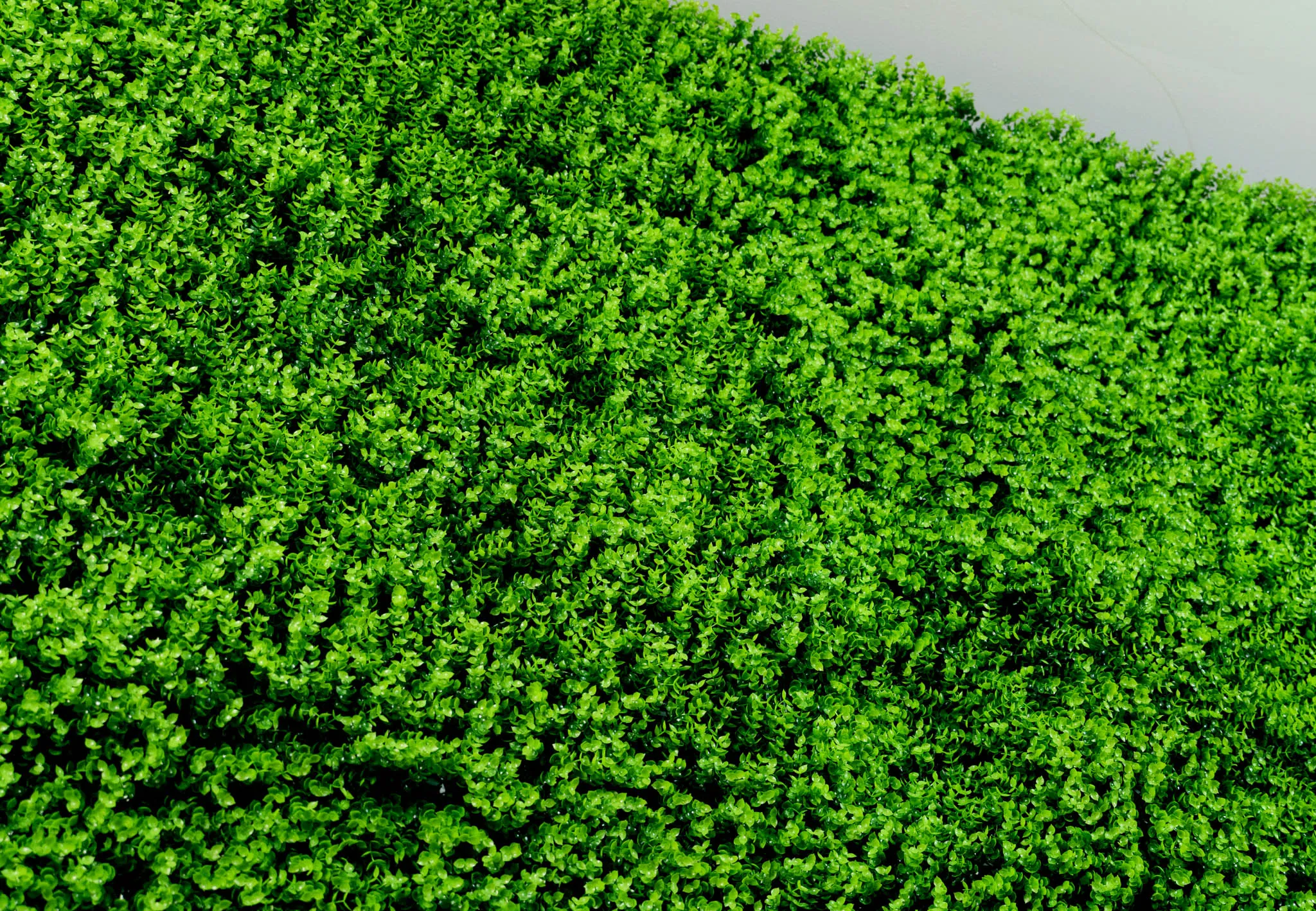 Green Enchantment flower wall, photo 2
