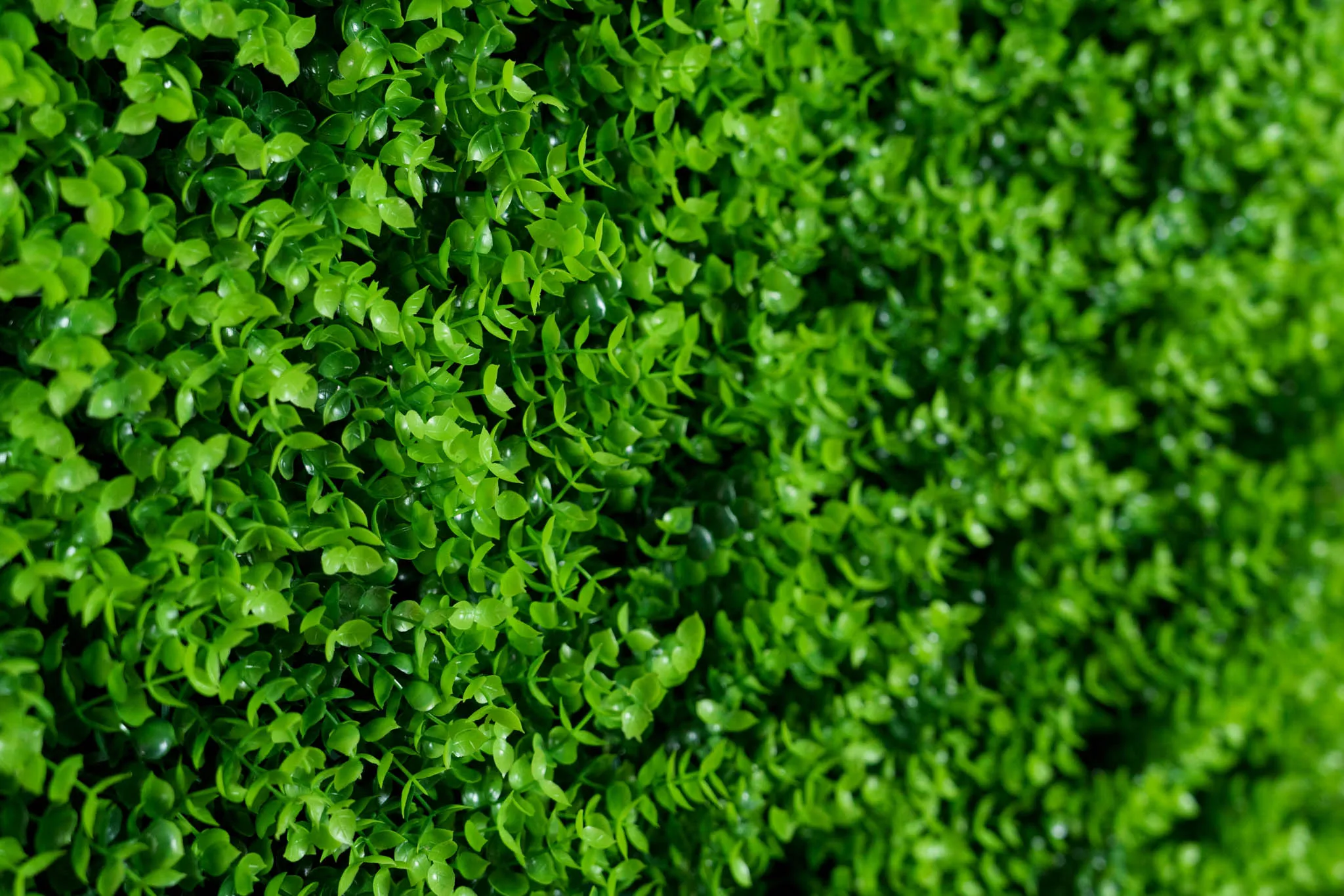 Green Enchantment flower wall, photo 3