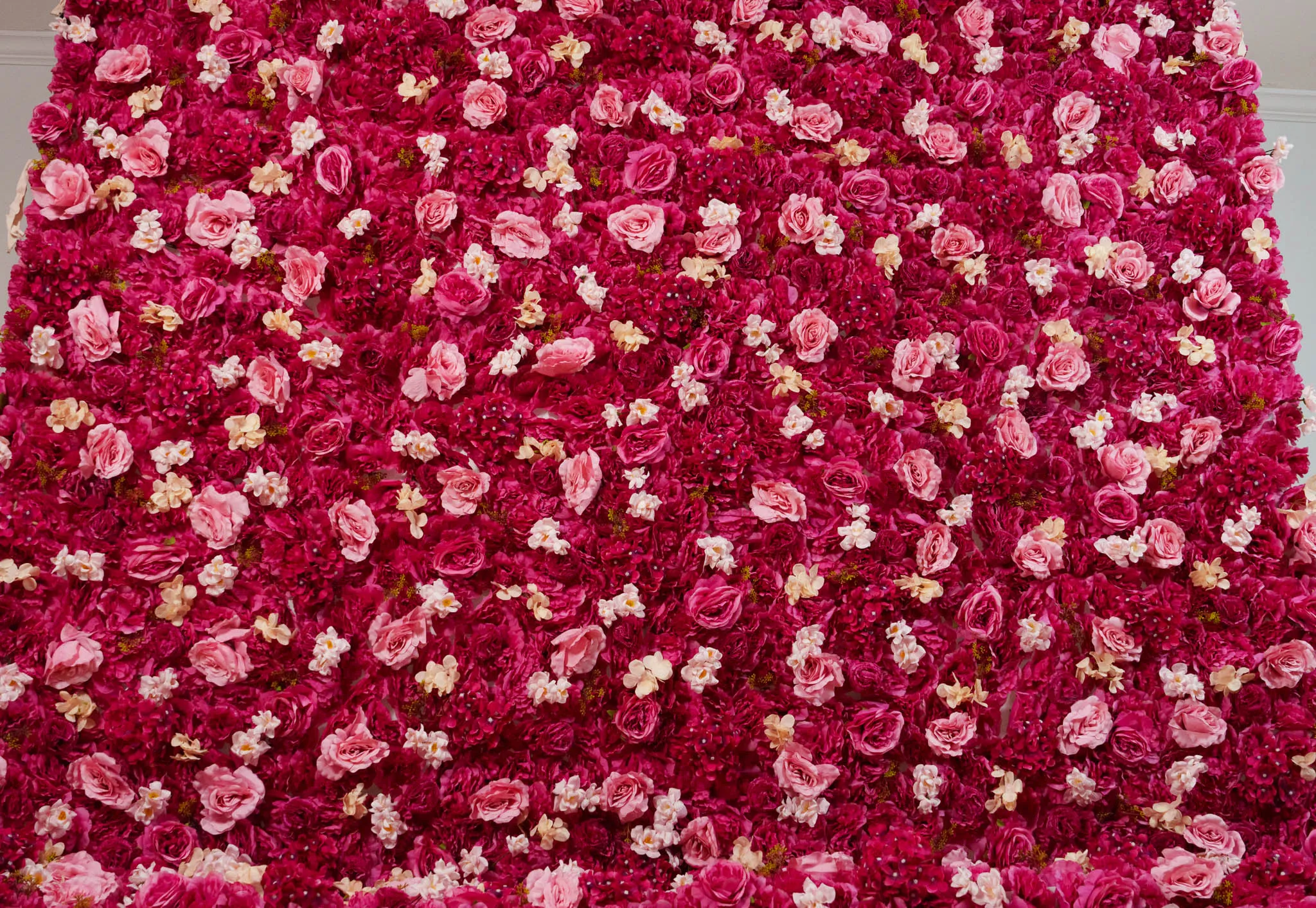 Party in Pink flower wall, photo 2