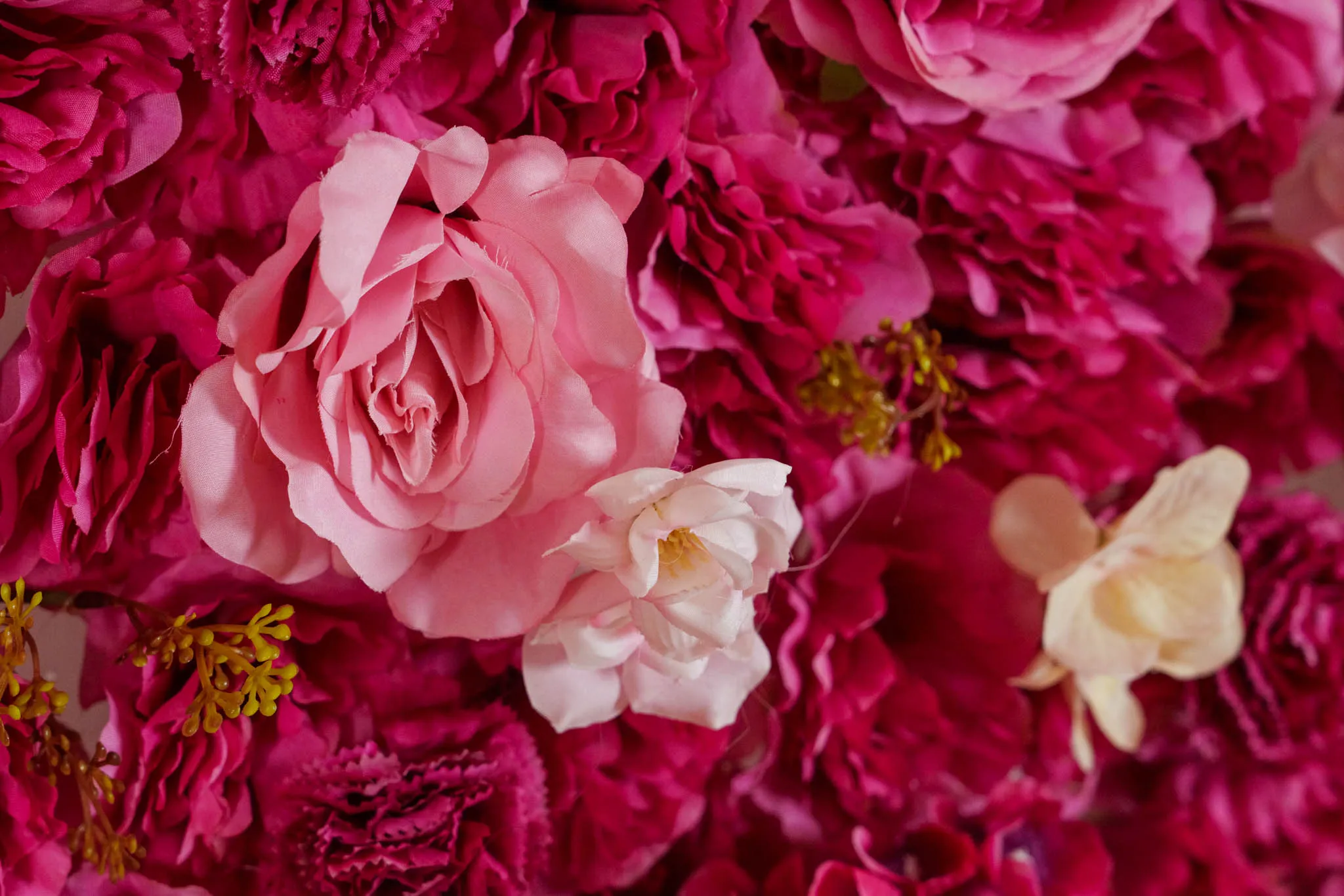 Party in Pink flower wall, photo 3