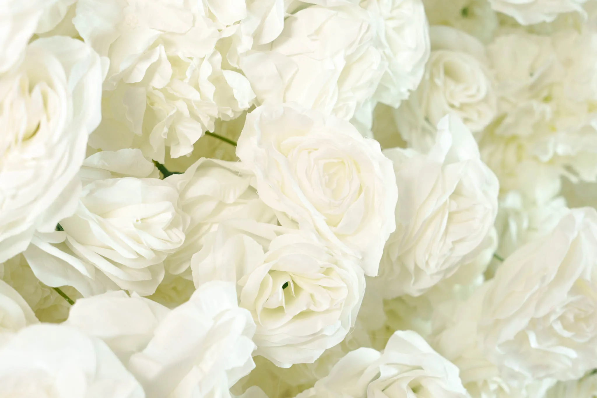Royal Bloom flower wall, photo 3