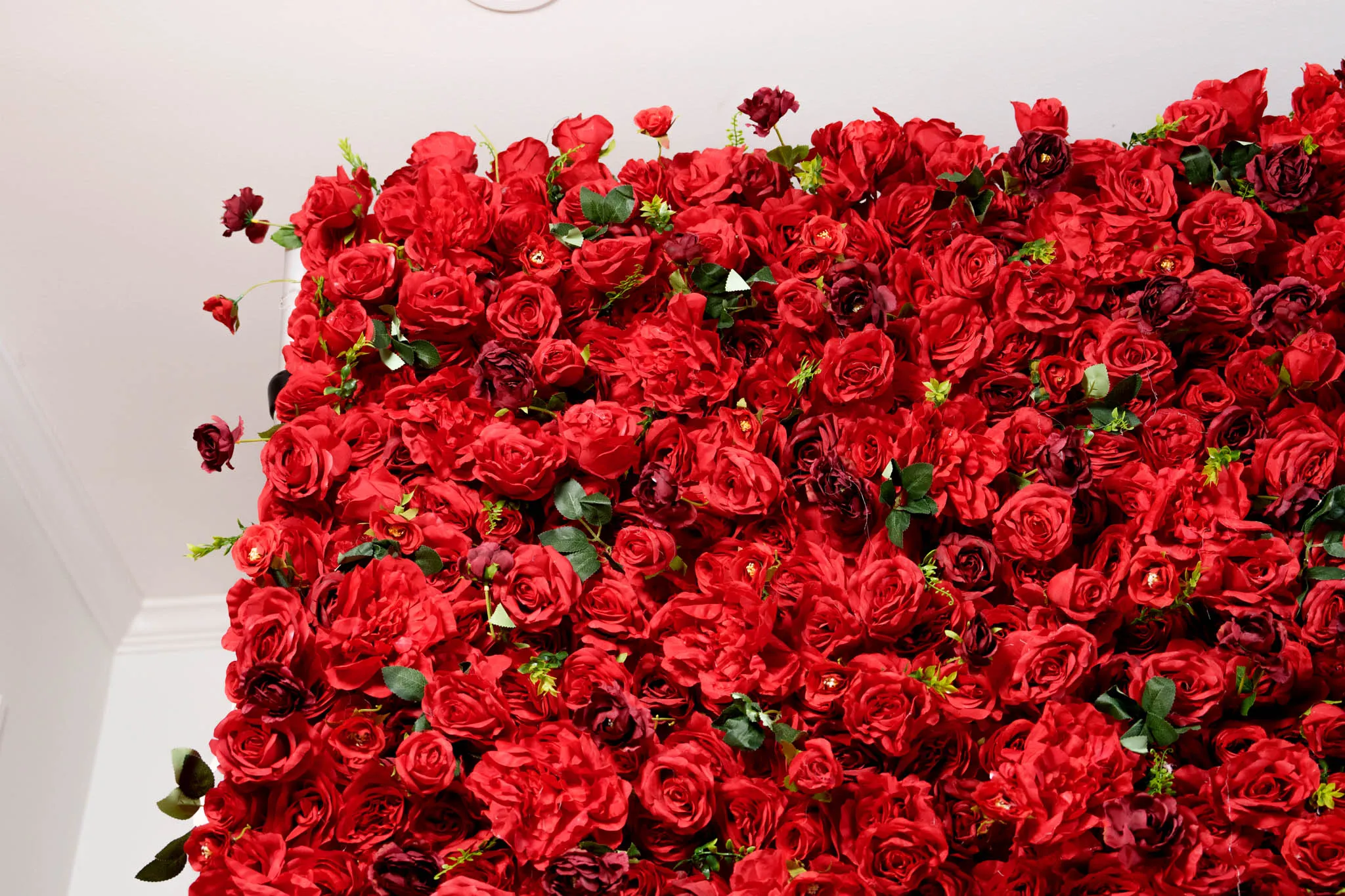 Scarlet Romance flower wall, photo 2