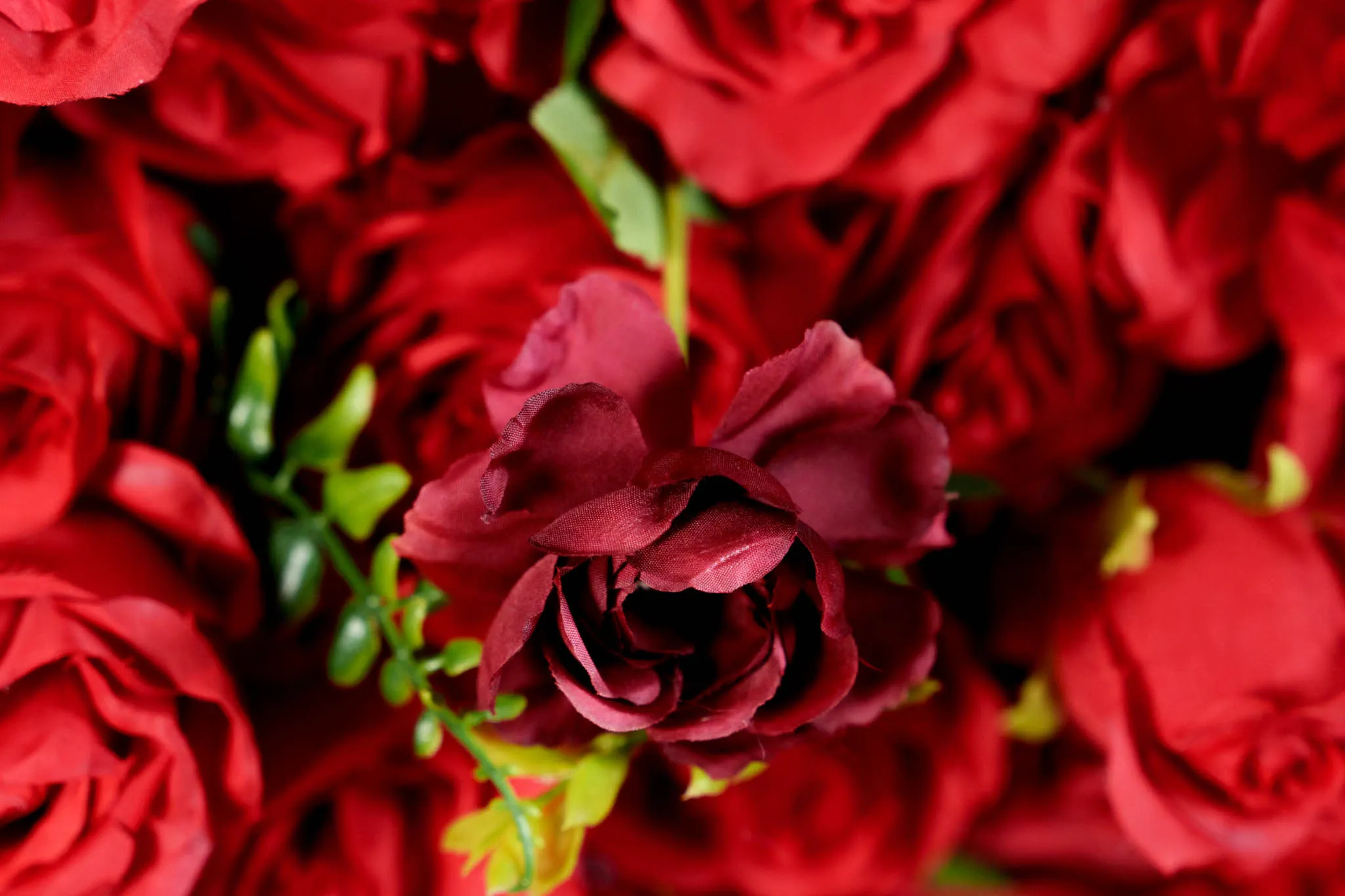 Scarlet Romance flower wall, photo 3