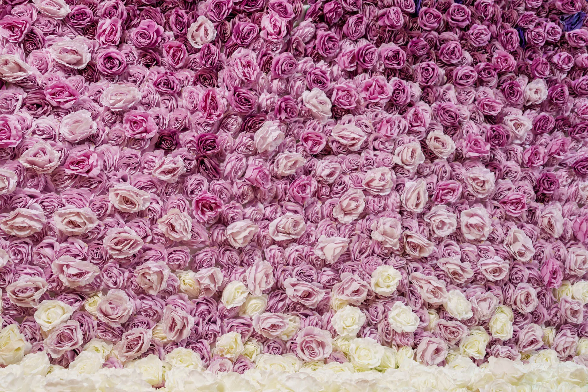 Violet Dreams flower wall, photo 2