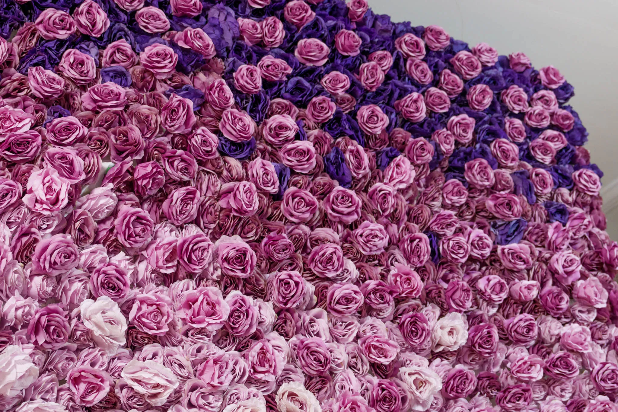 Violet Dreams flower wall, photo 3