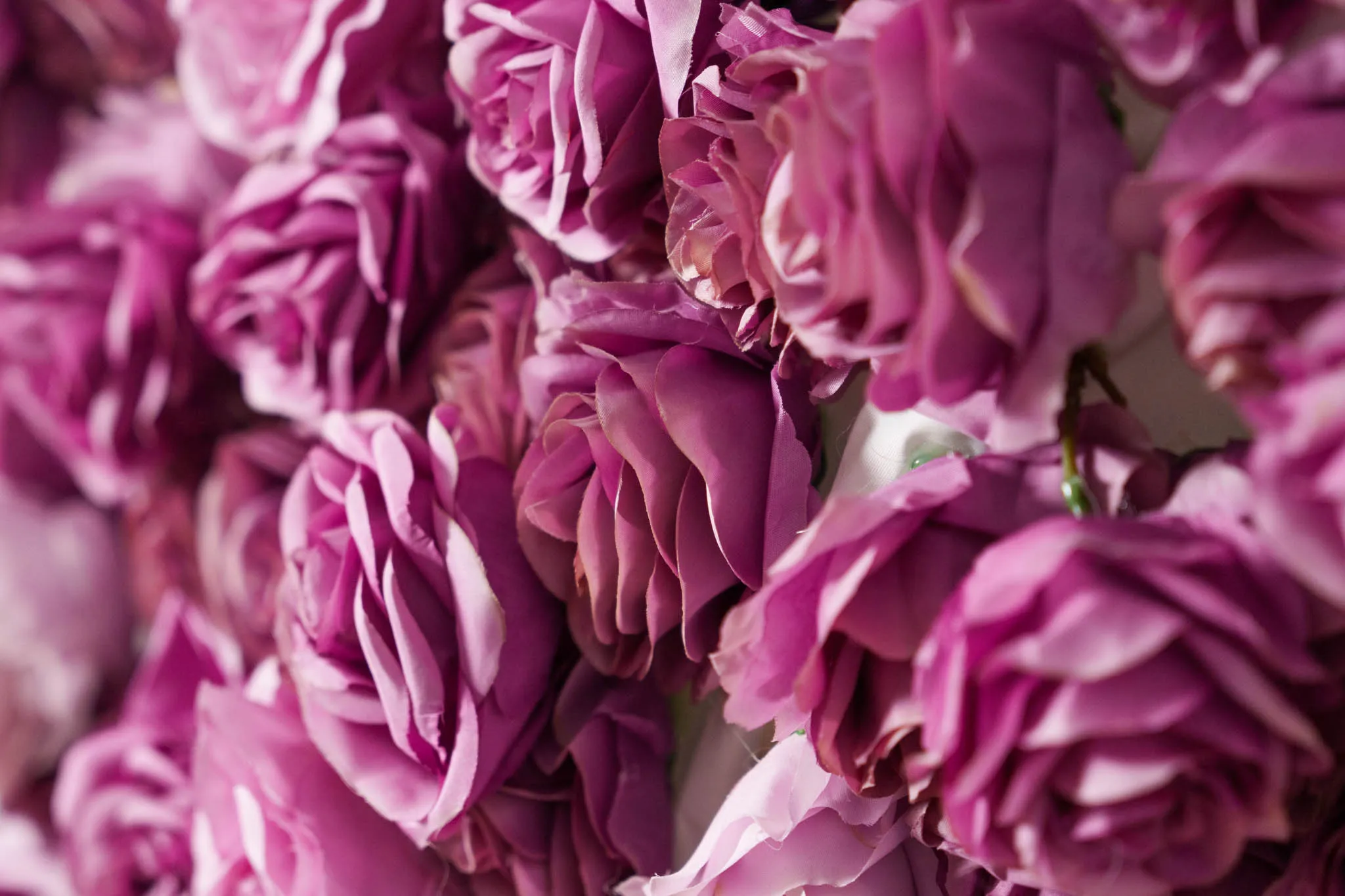 Violet Dreams flower wall, photo 4