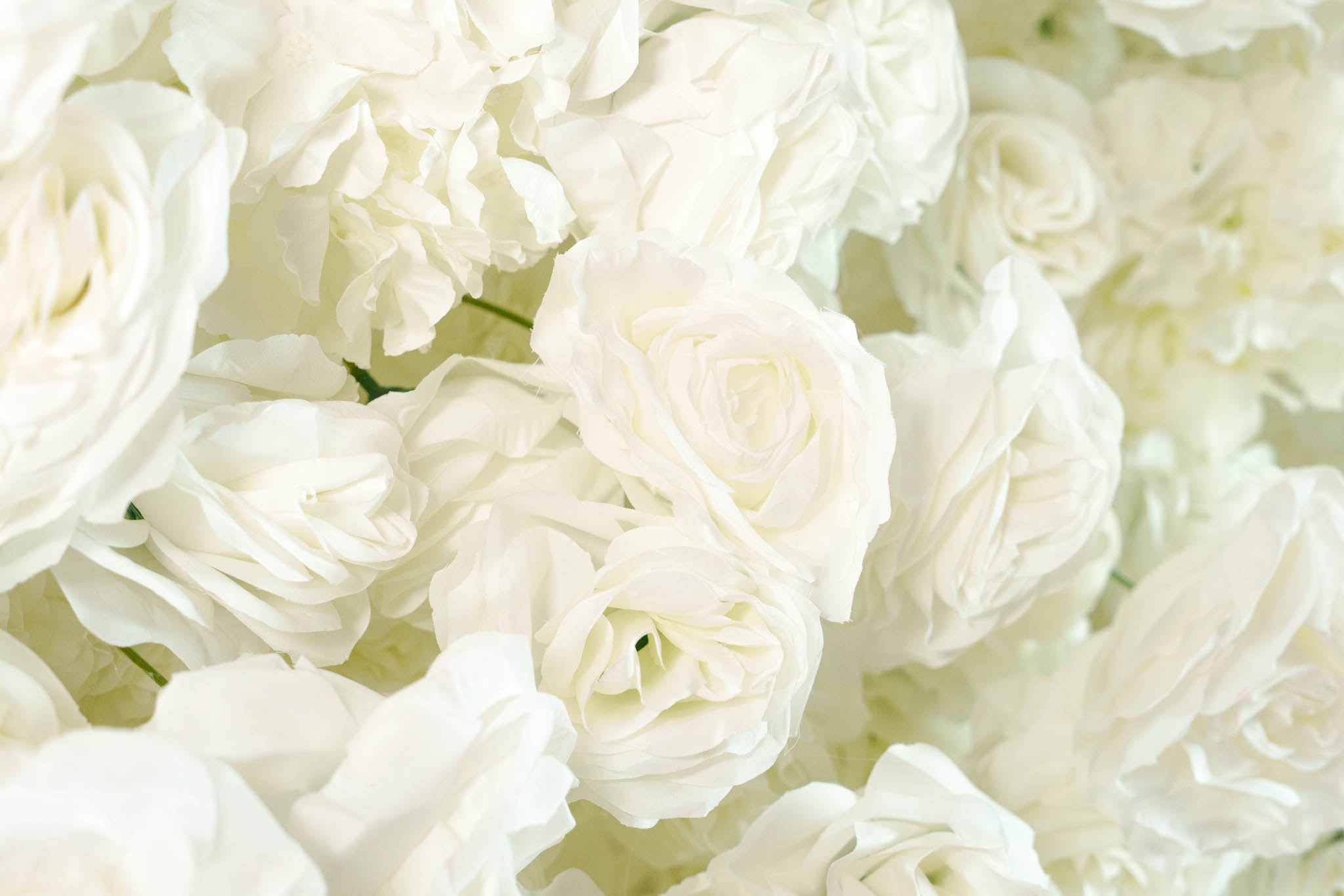 Royal Bloom
